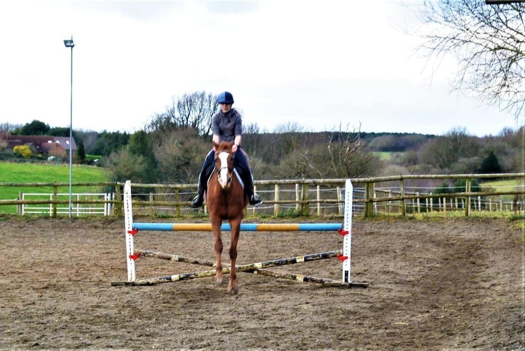 Hillfields Farm Barn - A Rural Equestrian Escape Daire Coventry Dış mekan fotoğraf